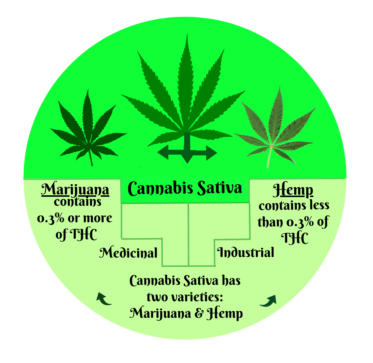 Cannabis Business Blog - Weed Industry Blog - Greenbits